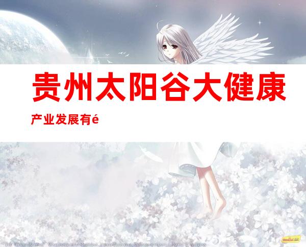 贵州太阳谷大健康产业发展有限公司